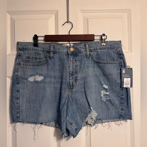 Women's Blue Denim Shorts